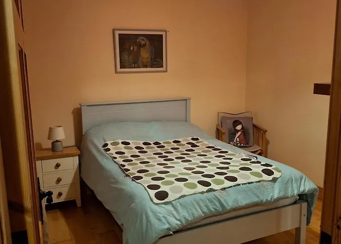 Wooly Tatil Evi Westport